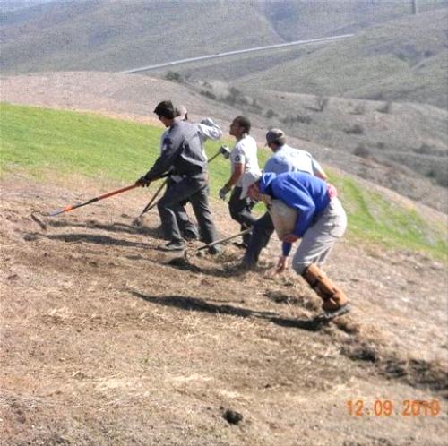 Raking to expose mineral soil and hand seeding. Site was prepped through grow-and-kill with herbicide and mowing. Credit: Megan Lulow, Irvine Ranch Conservancy