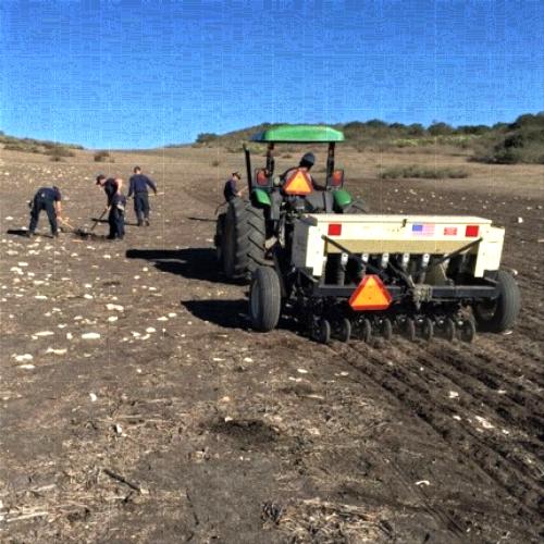 Seeding needlegrass with a wildland seeder. Site was prepped through grow-and-kill with herbicide and mowing. Credit: Lars Higdon, Irvine Ranch Conservancy