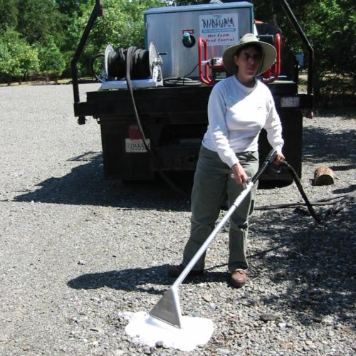 Hot foam application. Credit: California Invasive Plant Council